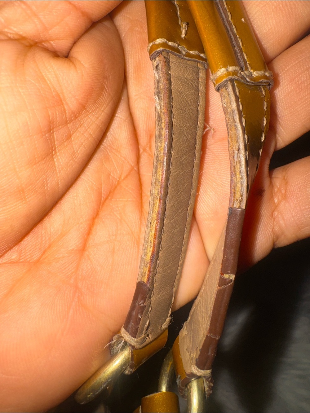 Coach Circle Appliqué Signature Tote in Brown and Gold Metallics - Picture 4 of 7